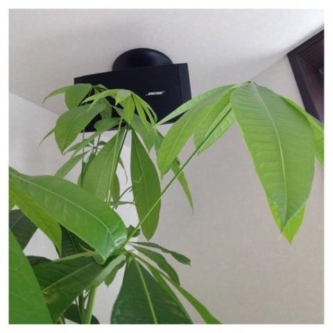 photo:01